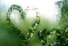 巴拉圭vs阿根廷，谁能在这场南美区世预赛中占得先机？